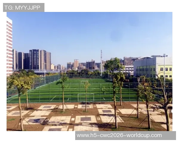 深圳喜地根足球场周边最佳休闲娱乐活动推荐与攻略